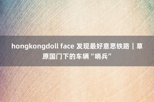 hongkongdoll face 发现最好意思铁路｜草原国门下的车辆“哨兵”