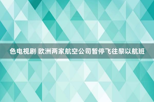 色电视剧 欧洲两家航空公司暂停飞往黎以航班