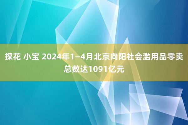 探花 小宝 2024年1—4月北京向阳社会滥用品零卖总数达1091亿元