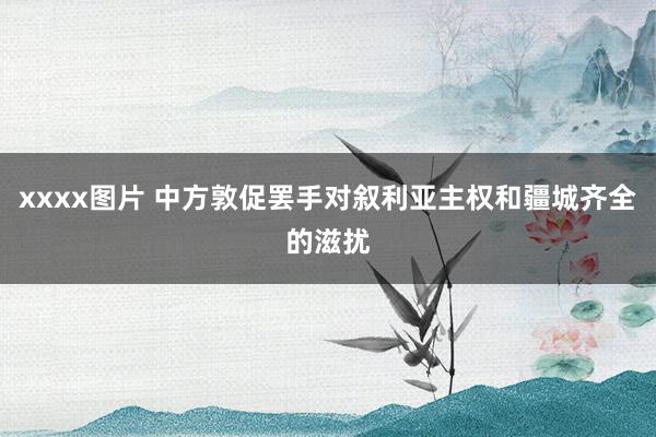 xxxx图片 中方敦促罢手对叙利亚主权和疆城齐全的滋扰