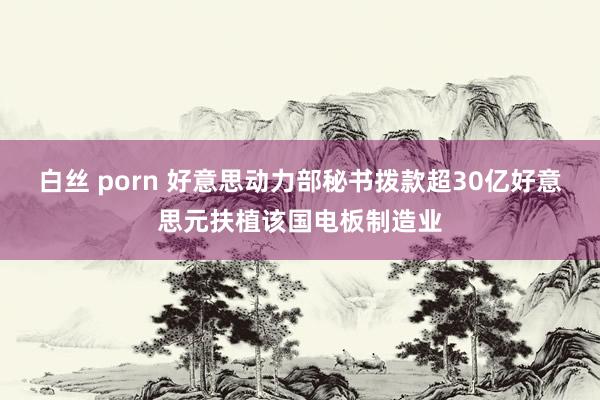 白丝 porn 好意思动力部秘书拨款超30亿好意思元扶植该国电板制造业