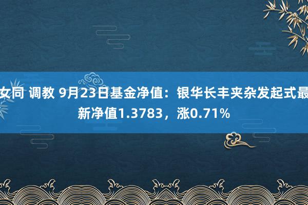 女同 调教 9月23日基金净值：银华长丰夹杂发起式最新净值1.3783，涨0.71%