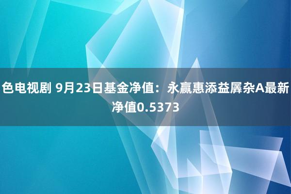 色电视剧 9月23日基金净值：永赢惠添益羼杂A最新净值0.5373