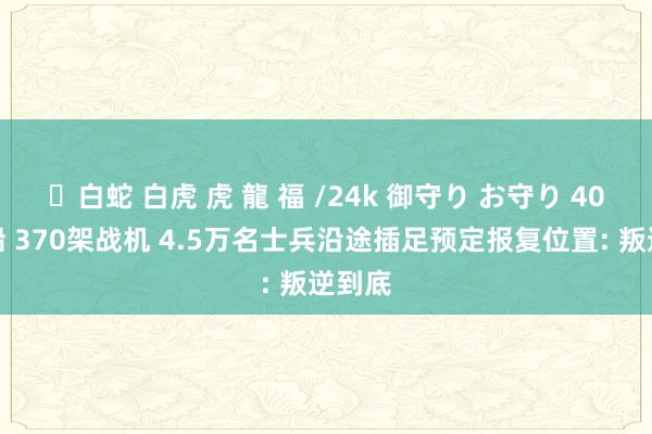 ✨白蛇 白虎 虎 龍 福 /24k 御守り お守り 40艘战船 370架战机 4.5万名士兵沿途插足预定报复位置: 叛逆到底