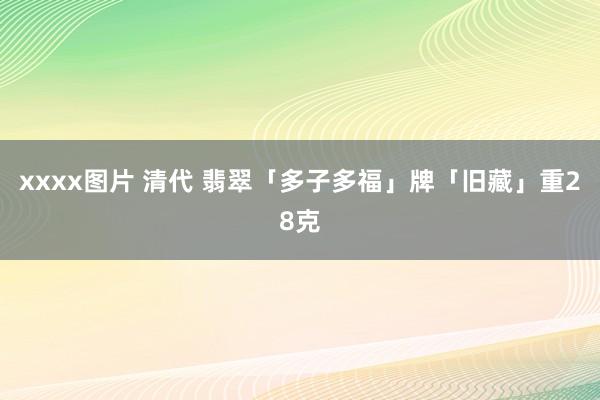 xxxx图片 清代 翡翠「多子多福」牌「旧藏」重28克