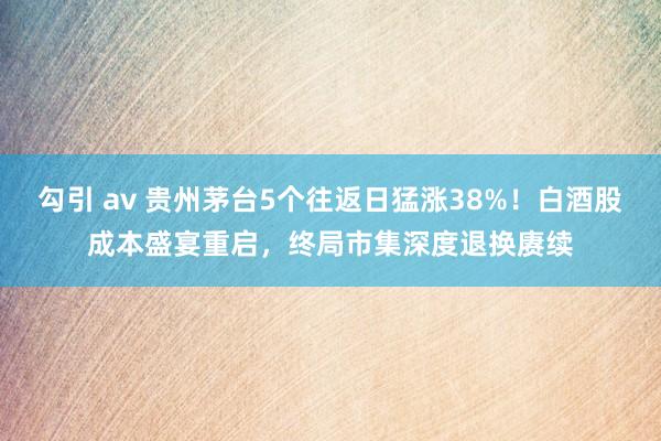 勾引 av 贵州茅台5个往返日猛涨38%！白酒股成本盛宴重启，终局市集深度退换赓续