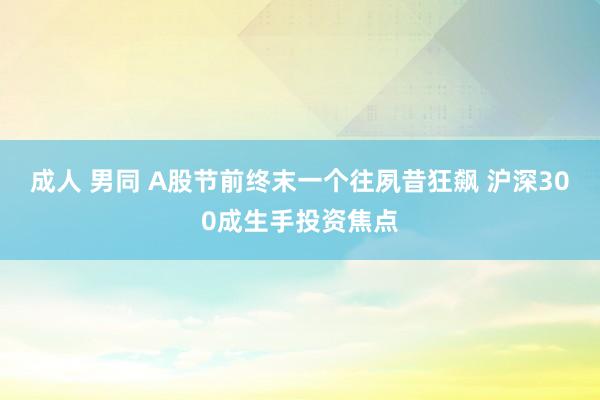 成人 男同 A股节前终末一个往夙昔狂飙 沪深300成生手投资焦点