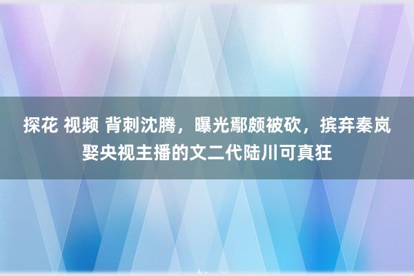 探花 视频 背刺沈腾，曝光鄢颇被砍，摈弃秦岚娶央视主播的文二代陆川可真狂