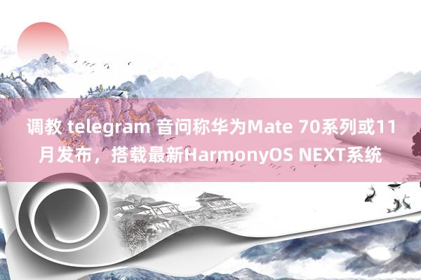 调教 telegram 音问称华为Mate 70系列或11月发布，搭载最新HarmonyOS NEXT系统