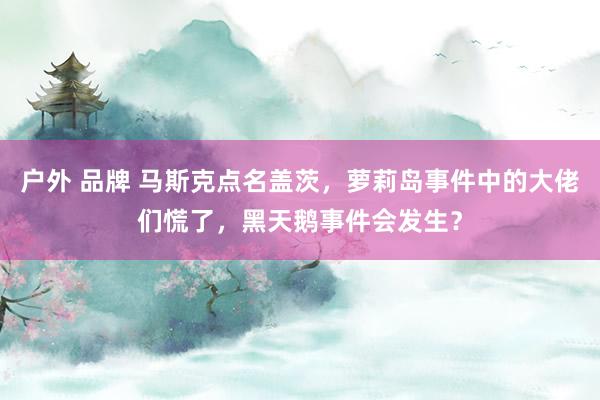 户外 品牌 马斯克点名盖茨，萝莉岛事件中的大佬们慌了，黑天鹅事件会发生？