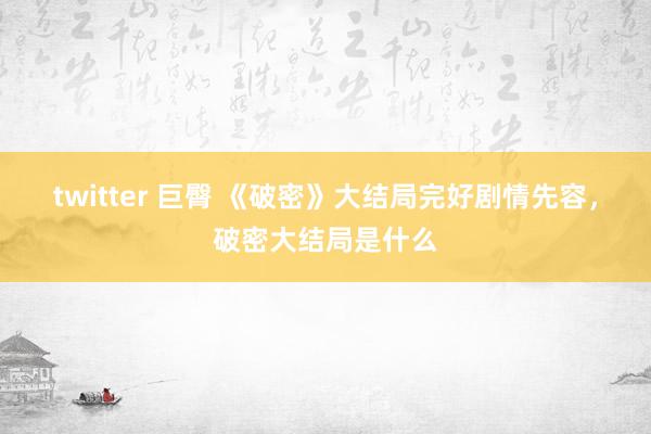 twitter 巨臀 《破密》大结局完好剧情先容，破密大结局是什么