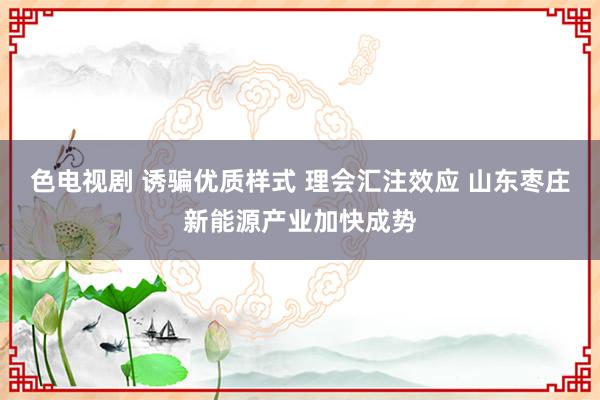 色电视剧 诱骗优质样式 理会汇注效应 山东枣庄新能源产业加快成势