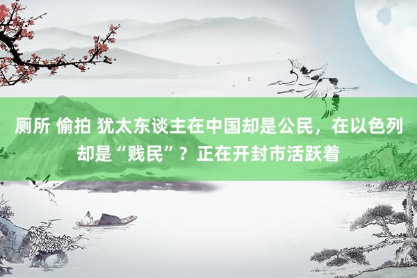 厕所 偷拍 犹太东谈主在中国却是公民，在以色列却是“贱民”？正在开封市活跃着