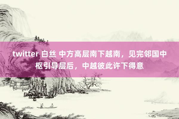 twitter 白丝 中方高层南下越南，见完邻国中枢引导层后，中越彼此许下得意