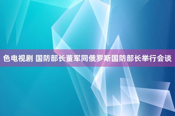 色电视剧 国防部长董军同俄罗斯国防部长举行会谈