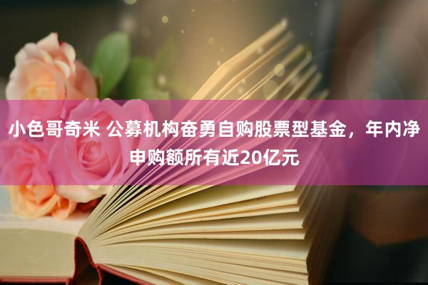 小色哥奇米 公募机构奋勇自购股票型基金，年内净申购额所有近20亿元