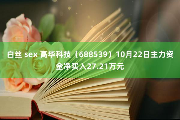 白丝 sex 高华科技（688539）10月22日主力资金净买入27.21万元