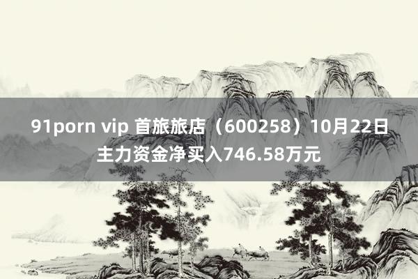 91porn vip 首旅旅店（600258）10月22日主力资金净买入746.58万元