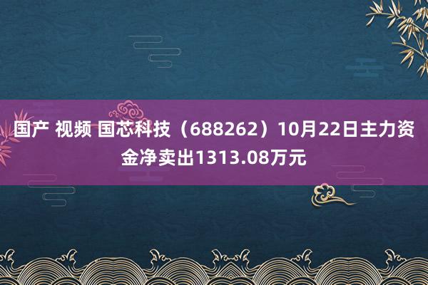 国产 视频 国芯科技（688262）10月22日主力资金净卖出1313.08万元