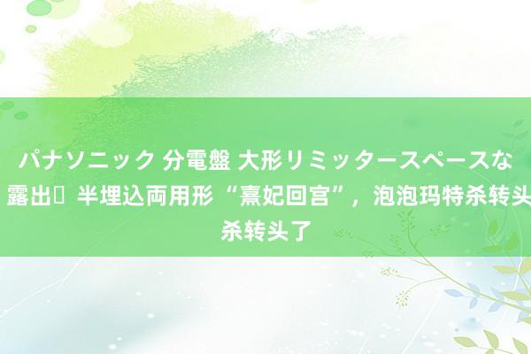 パナソニック 分電盤 大形リミッタースペースなし 露出・半埋込両用形 “熹妃回宫”，泡泡玛特杀转头了