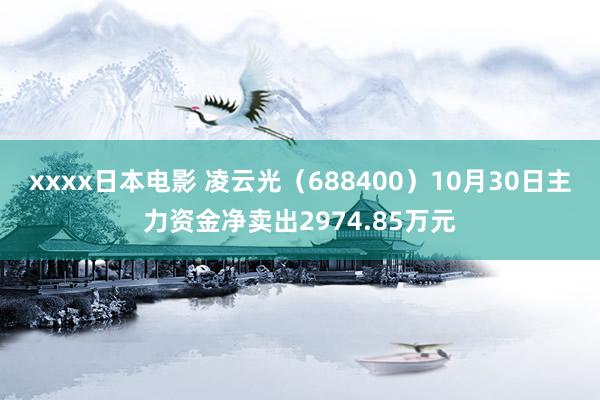 xxxx日本电影 凌云光（688400）10月30日主力资金净卖出2974.85万元