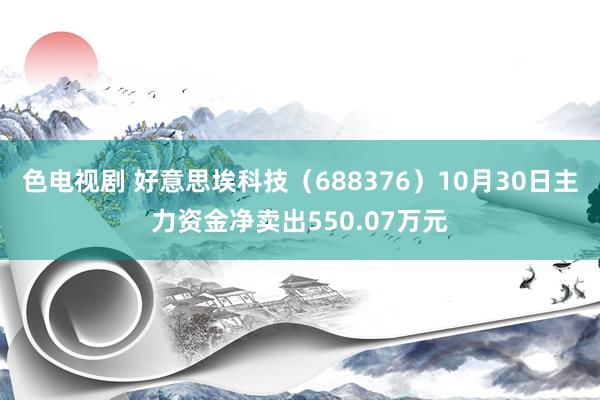 色电视剧 好意思埃科技（688376）10月30日主力资金净卖出550.07万元