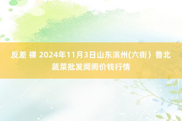 反差 裸 2024年11月3日山东滨州(六街）鲁北蔬菜批发阛阓价钱行情