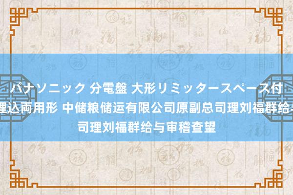 パナソニック 分電盤 大形リミッタースペース付 露出・半埋込両用形 中储粮储运有限公司原副总司理刘福群给与审稽查望