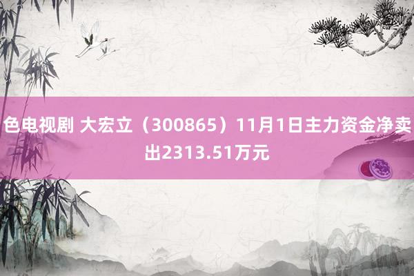 色电视剧 大宏立（300865）11月1日主力资金净卖出2313.51万元