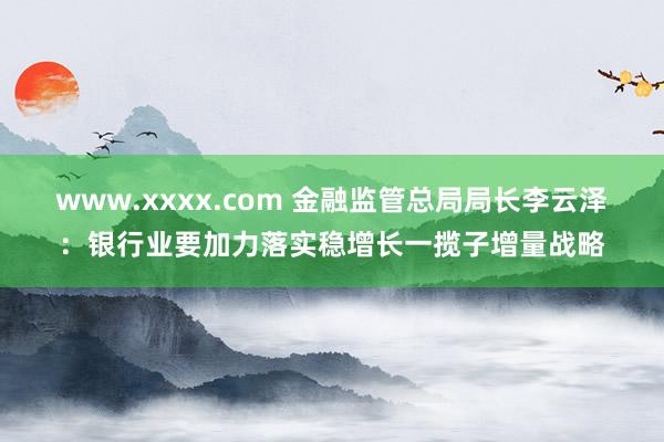 www.xxxx.com 金融监管总局局长李云泽：银行业要加力落实稳增长一揽子增量战略