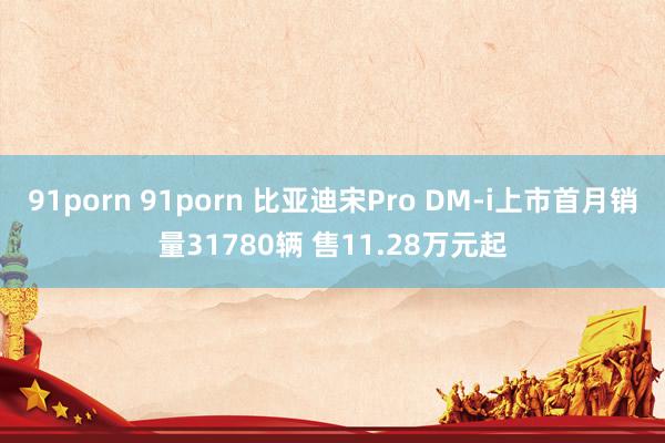 91porn 91porn 比亚迪宋Pro DM-i上市首月销量31780辆 售11.28万元起