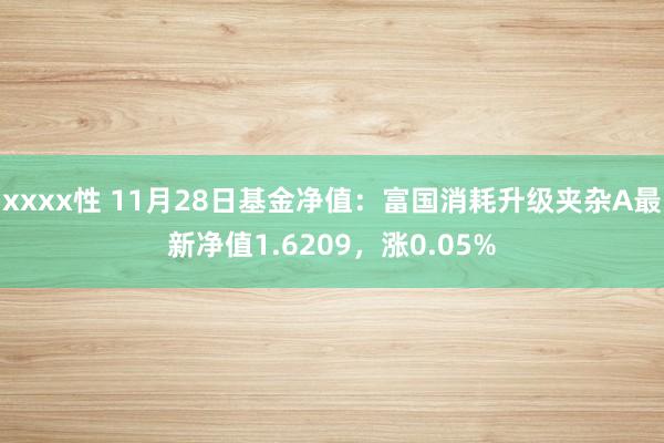 xxxx性 11月28日基金净值：富国消耗升级夹杂A最新净值1.6209，涨0.05%