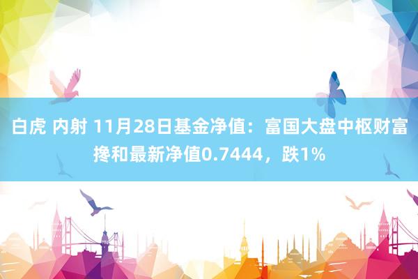 白虎 内射 11月28日基金净值：富国大盘中枢财富搀和最新净值0.7444，跌1%