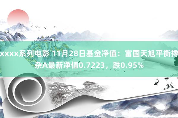 xxxx系列电影 11月28日基金净值：富国天旭平衡搀杂A最新净值0.7223，跌0.95%