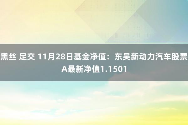 黑丝 足交 11月28日基金净值：东吴新动力汽车股票A最新净值1.1501