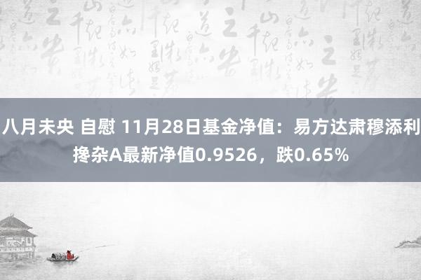 八月未央 自慰 11月28日基金净值：易方达肃穆添利搀杂A最新净值0.9526，跌0.65%