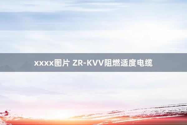 xxxx图片 ZR-KVV阻燃适度电缆