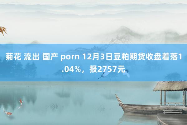 菊花 流出 国产 porn 12月3日豆粕期货收盘着落1.04%，报2757元