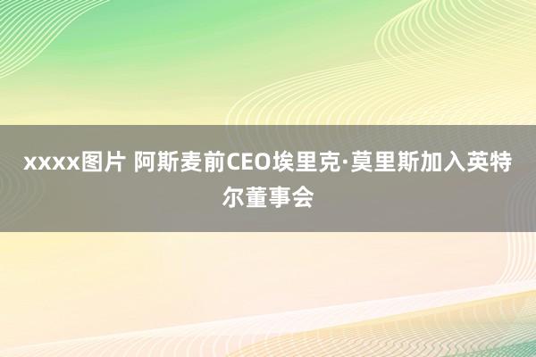 xxxx图片 阿斯麦前CEO埃里克·莫里斯加入英特尔董事会