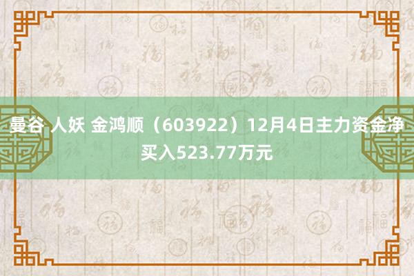 曼谷 人妖 金鸿顺（603922）12月4日主力资金净买入523.77万元