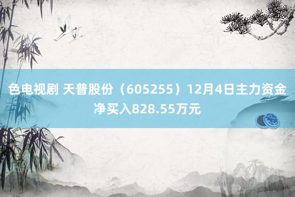 色电视剧 天普股份（605255）12月4日主力资金净买入828.55万元