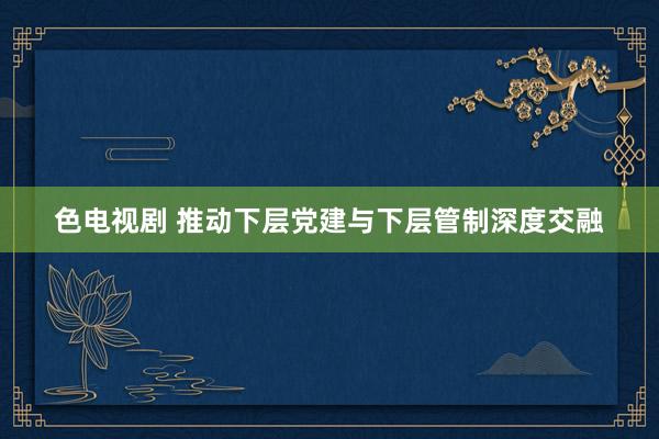 色电视剧 推动下层党建与下层管制深度交融