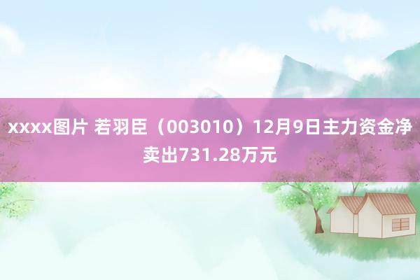 xxxx图片 若羽臣（003010）12月9日主力资金净卖出731.28万元