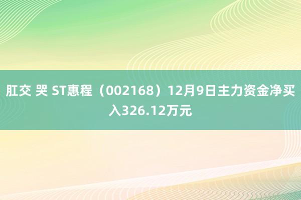 肛交 哭 ST惠程（002168）12月9日主力资金净买入326.12万元