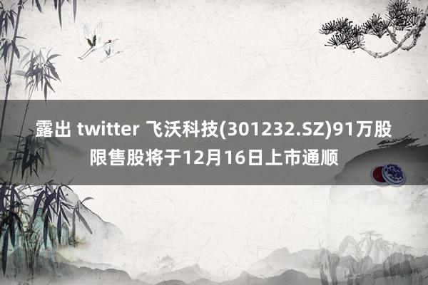 露出 twitter 飞沃科技(301232.SZ)91万股限售股将于12月16日上市通顺