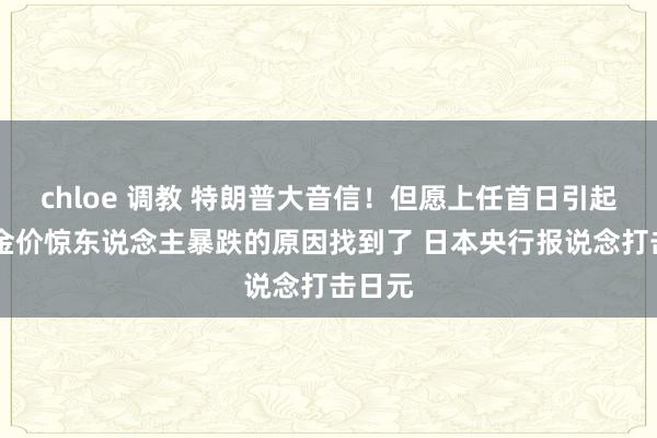 chloe 调教 特朗普大音信！但愿上任首日引起轰动 金价惊东说念主暴跌的原因找到了 日本央行报说念打击日元