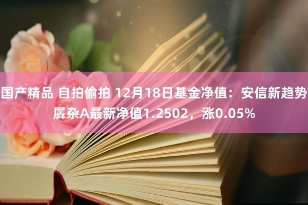 国产精品 自拍偷拍 12月18日基金净值：安信新趋势羼杂A最新净值1.2502，涨0.05%