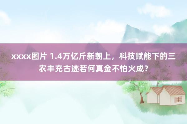 xxxx图片 1.4万亿斤新朝上，科技赋能下的三农丰充古迹若何真金不怕火成？