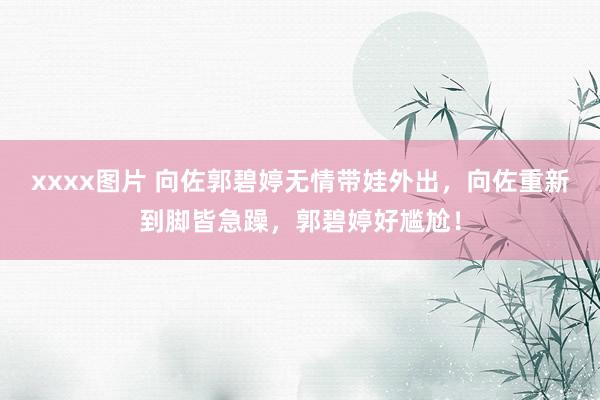 xxxx图片 向佐郭碧婷无情带娃外出，向佐重新到脚皆急躁，郭碧婷好尴尬！