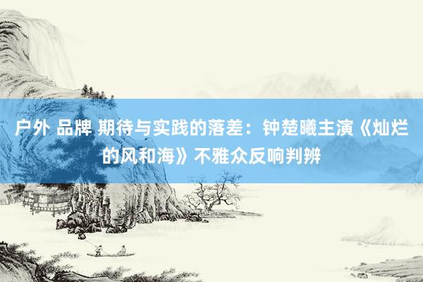 户外 品牌 期待与实践的落差：钟楚曦主演《灿烂的风和海》不雅众反响判辨